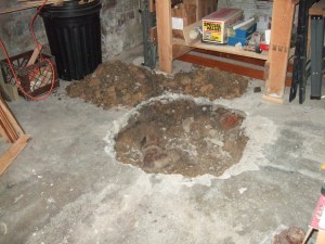 2008_0923fallgarden00071