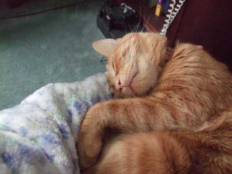 asleep-on-my-arm asleep-on-my-arm