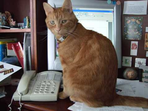 blocking-the-screen blocking-the-screen