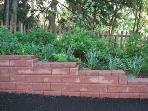 poppylesswall poppylesswall