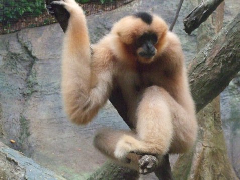 2010_0720cindyvisit0004