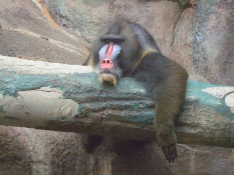 2010_0720cindyvisit0007