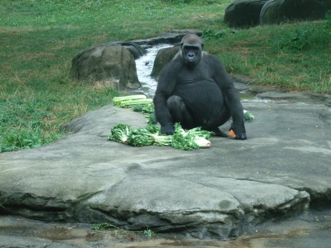 2010_0720cindyvisit0009