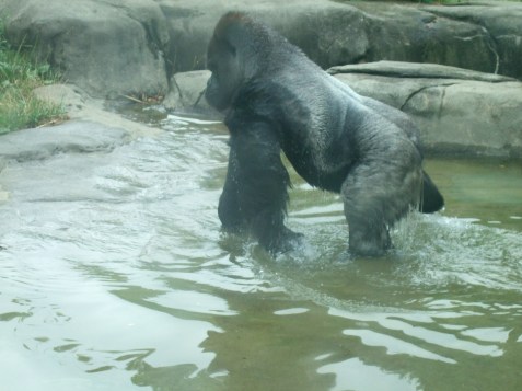 2010_0720cindyvisit0012