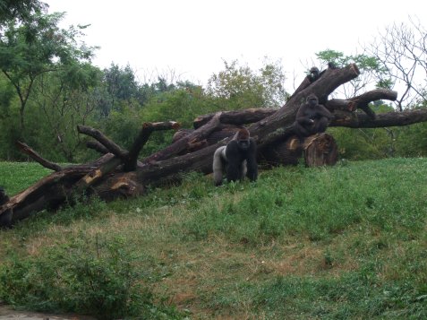 2010_0720cindyvisit0013