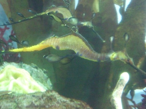 2010_0720cindyvisit0014