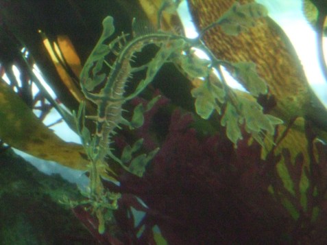 2010_0720cindyvisit0016