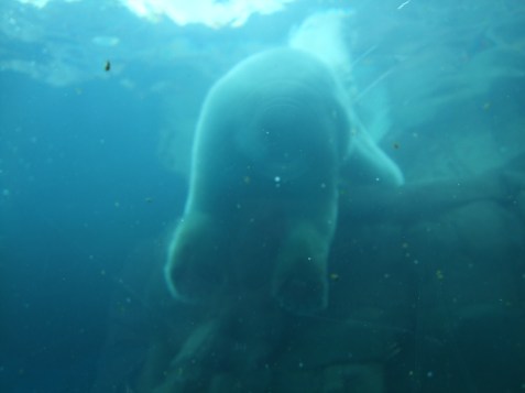 2010_0720cindyvisit0022