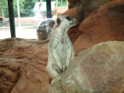 2010_0720cindyvisit0025