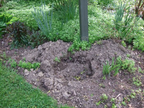 holelotofopportunity